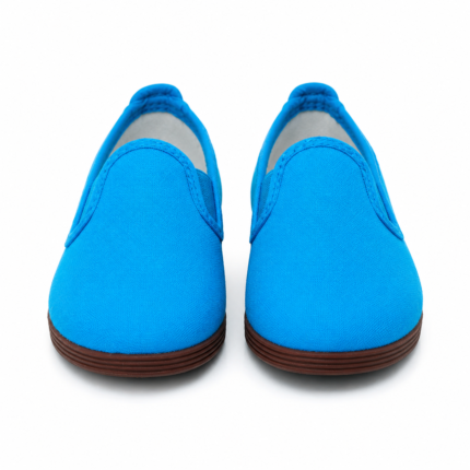 Training Kungfu Shoes